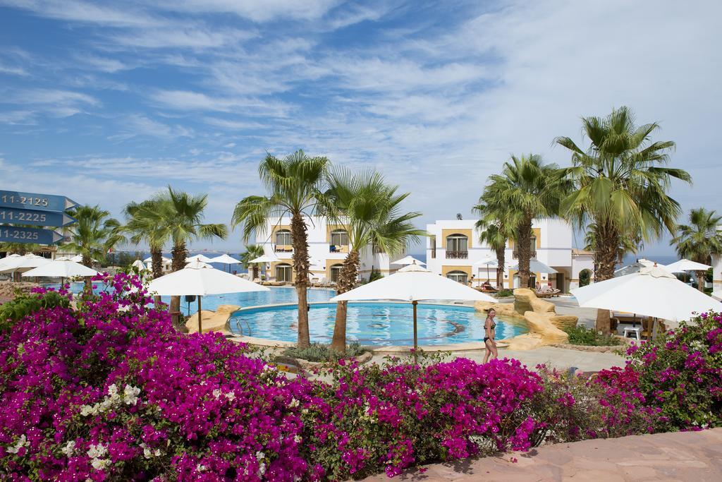 Єгипет, Шарм ель Шейх, готель Amphoras Blu Resort4*