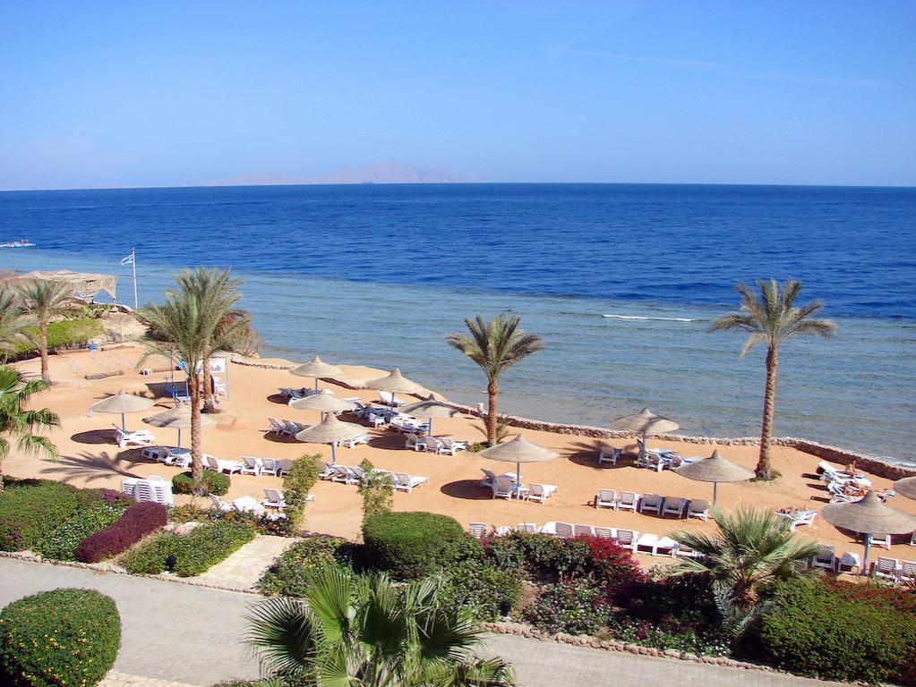 Шарм ель Шейх, Queen Sharm 4*,