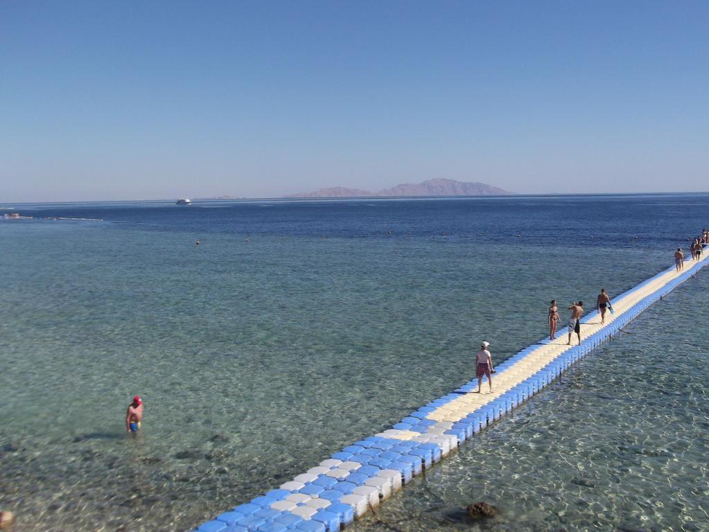 Шарм ель Шейх, Queen Sharm 4*,