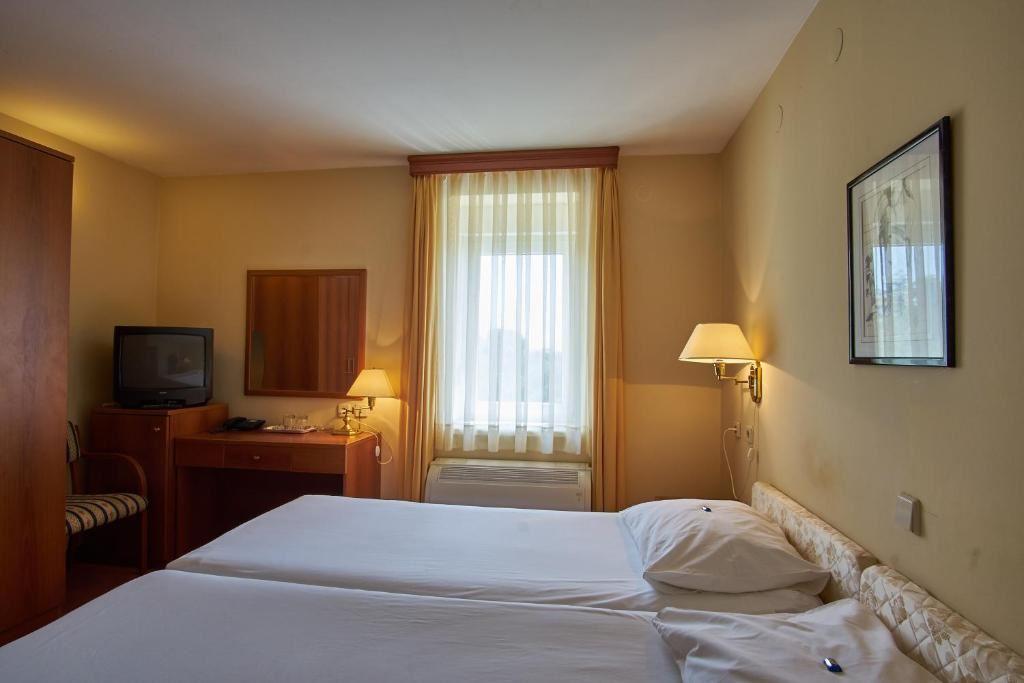 HOTEL VILA RUZICA 3 *